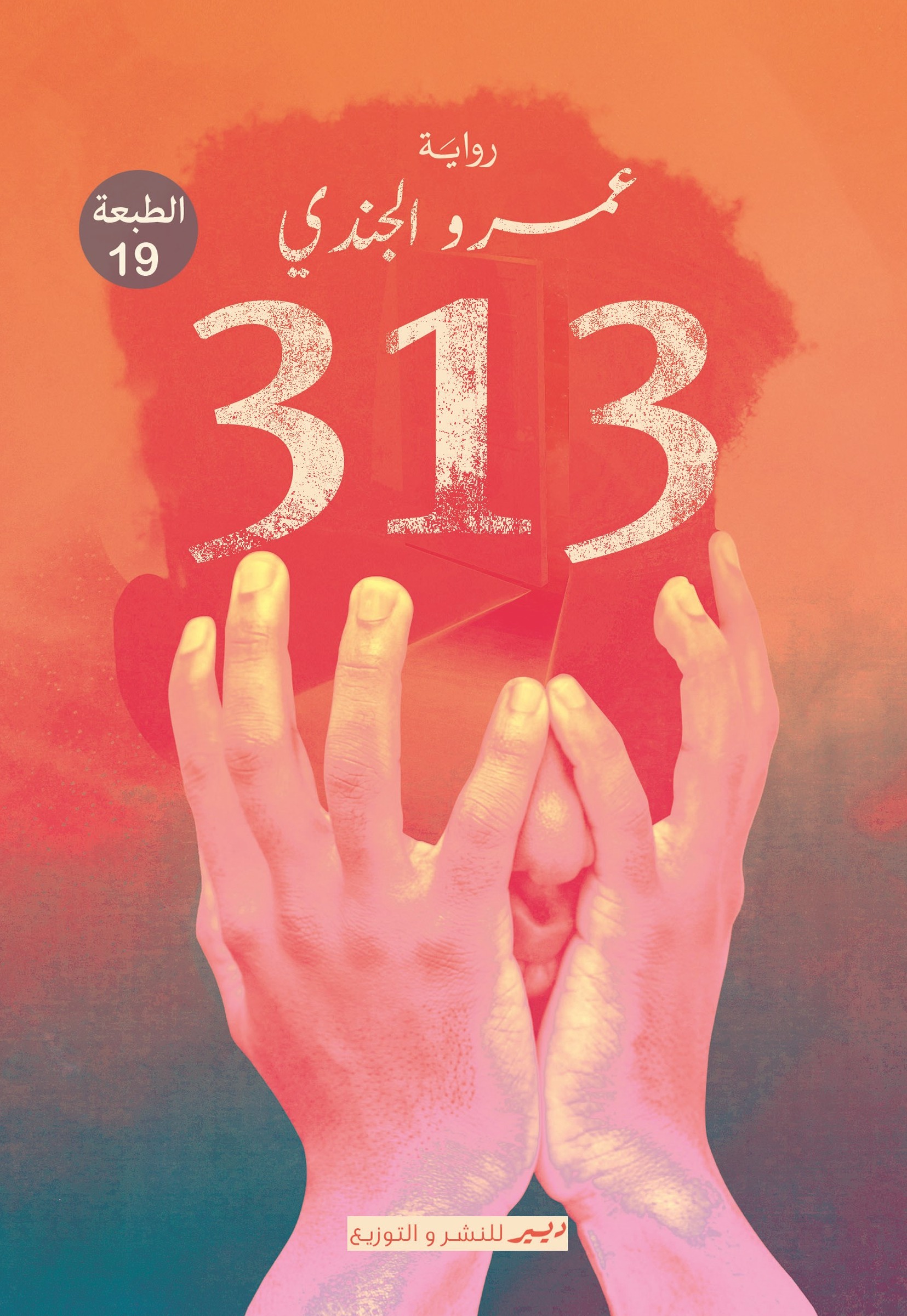 رواية 313